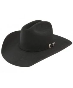 Resistol Challenger Black 5X Felt Hat